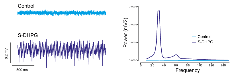 Gamma image