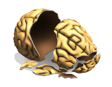 The Damaged Brain