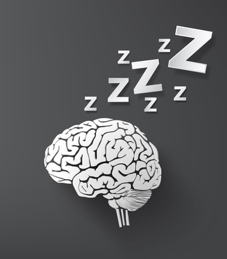 Sleeping brain