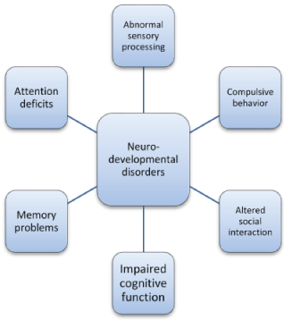 Neurodevelopment Figure